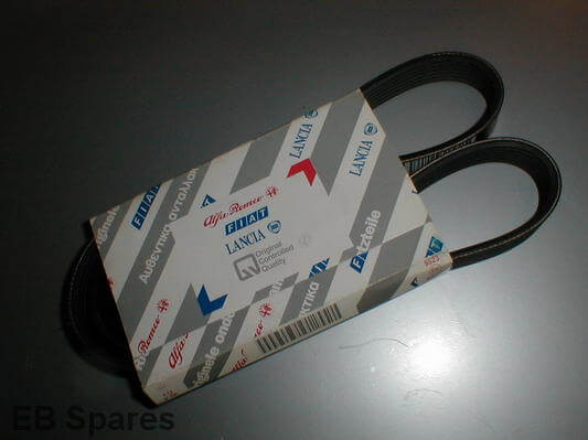 V6 Anc Belt 