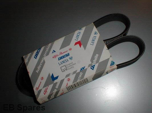 1.9 Anc belt 